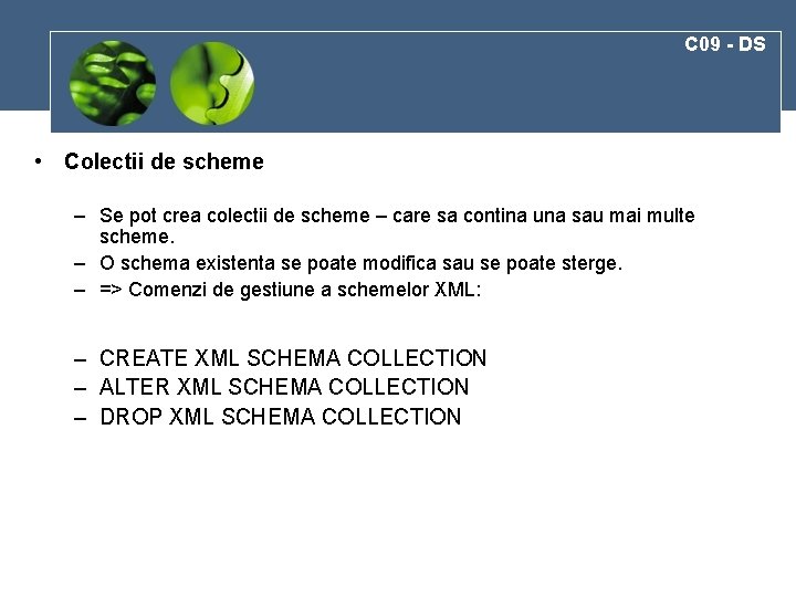 C 09 - DS • Colectii de scheme – Se pot crea colectii de