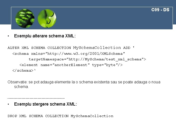 C 09 - DS • Exemplu alterare schema XML: ALTER XML SCHEMA COLLECTION My.