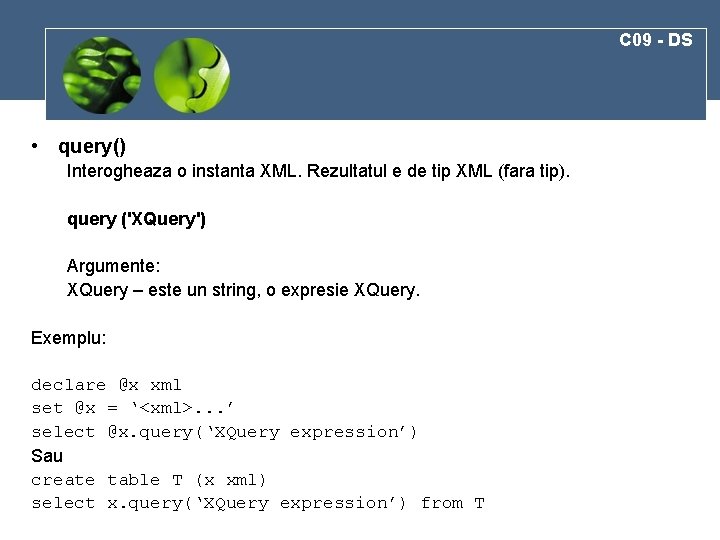 C 09 - DS • query() Interogheaza o instanta XML. Rezultatul e de tip