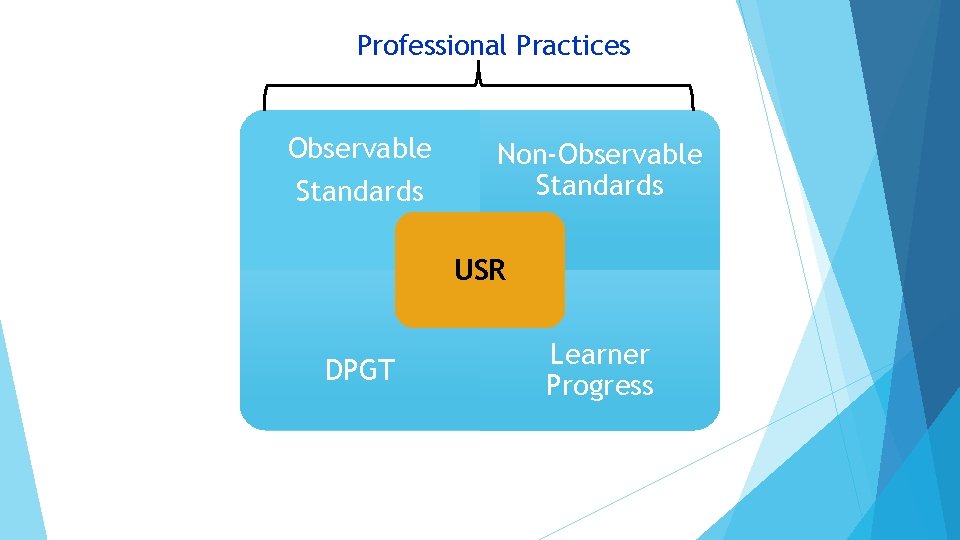 Professional Practices Observable Standards Non-Observable Standards USR DPGT Learner Progress 