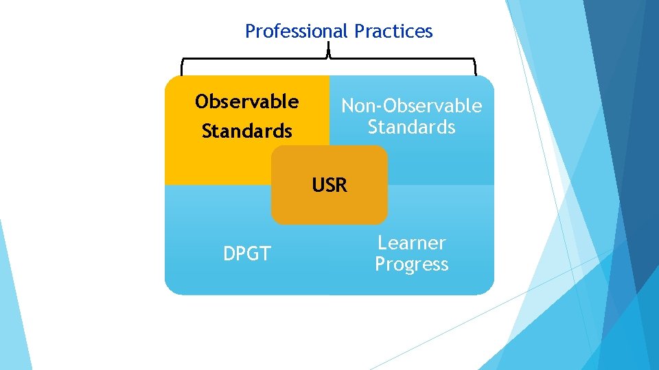 Professional Practices Observable Standards Non-Observable Standards USR DPGT Learner Progress 
