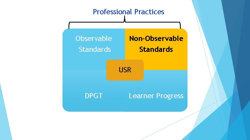 Professional Practices Observable Standards Non-Observable Standards USR DPGT Learner Progress 