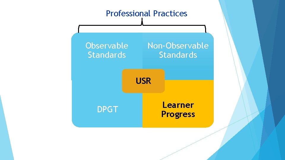 Professional Practices Observable Standards Non-Observable Standards USR DPGT Learner Progress 