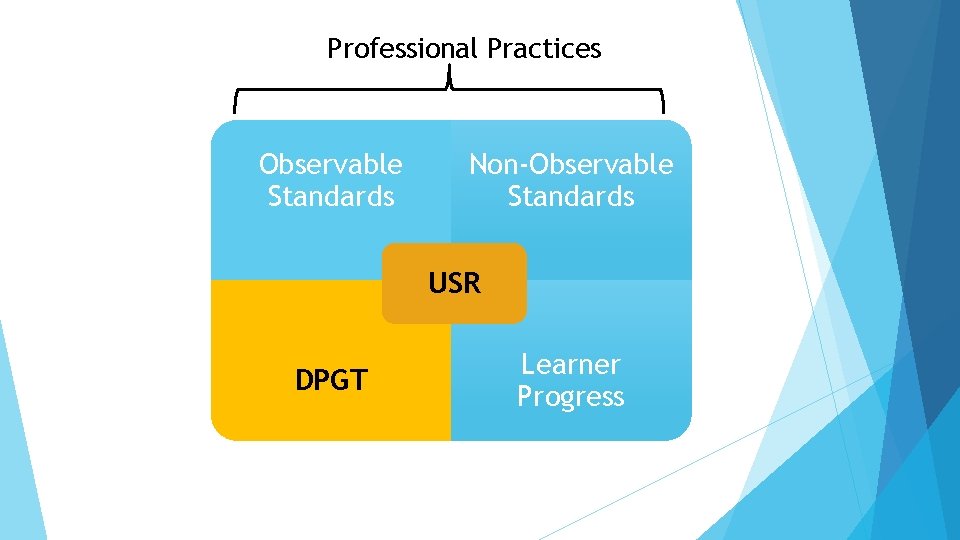 Professional Practices Observable Standards Non-Observable Standards USR DPGT Learner Progress 