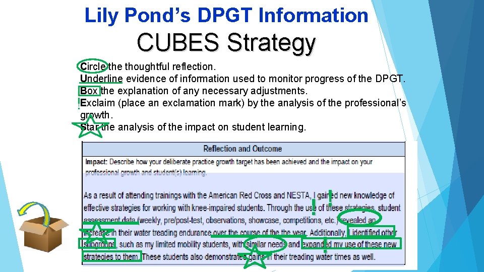 Lily Pond’s DPGT Information CUBES Strategy Circle thoughtful reflection. Underline evidence of information used