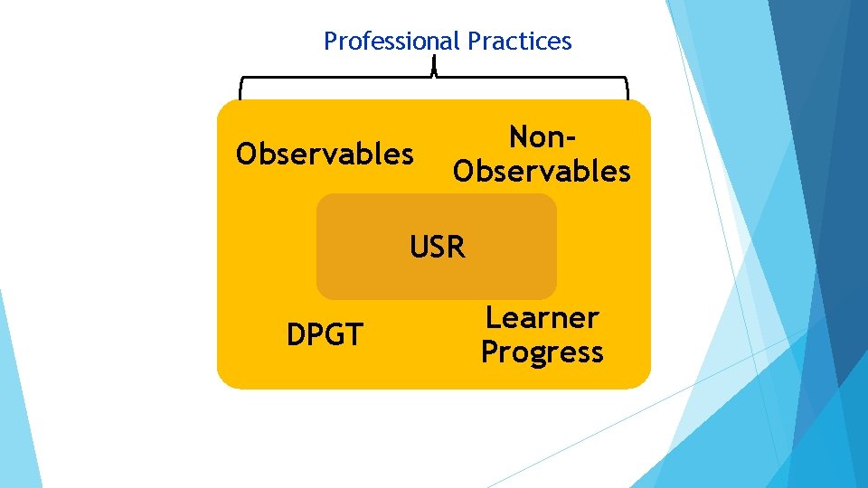 Professional Practices Observables Non. Observables USR DPGT Learner Progress 