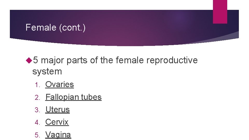 Female (cont. ) 5 major parts of the female reproductive system 1. Ovaries 2. Female (cont. ) 5 major parts of the female reproductive system 1. Ovaries 2.