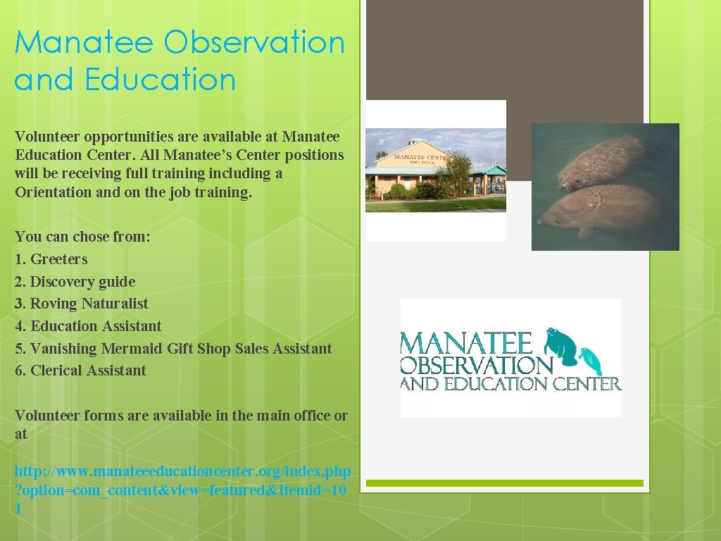 Manatee Observation and Education Volunteer opportunities are available at Manatee Education Center. All Manatee’s