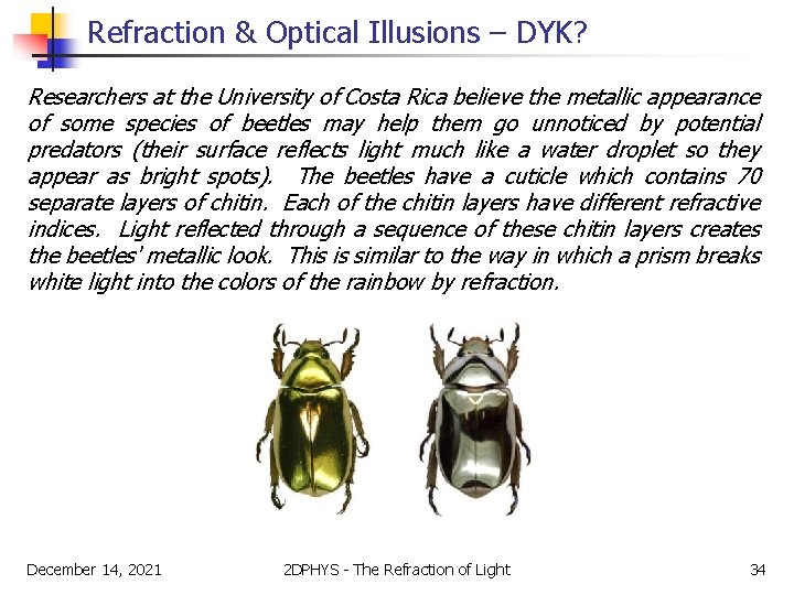 Refraction & Optical Illusions – DYK? Researchers at the University of Costa Rica believe