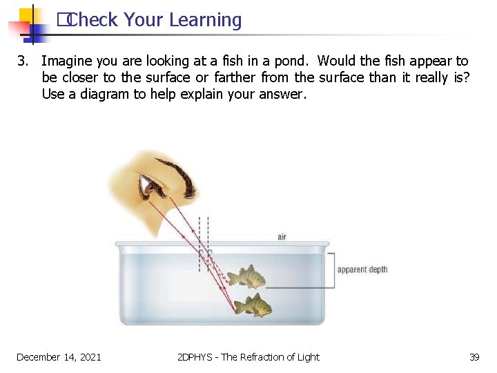 �Check Your Learning 3. Imagine you are looking at a fish in a pond.