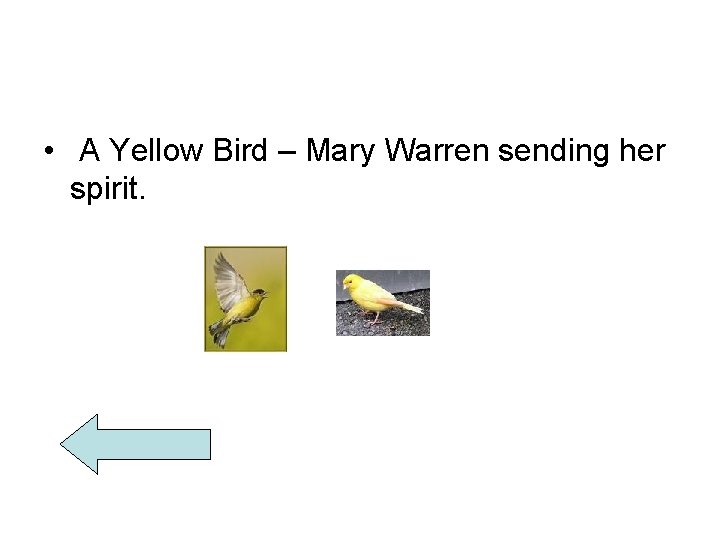  • A Yellow Bird – Mary Warren sending her spirit. 