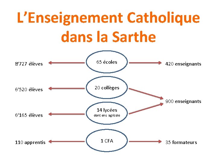 L’Enseignement Catholique dans la Sarthe 8’ 727 élèves 65 écoles 6’ 520 élèves 20