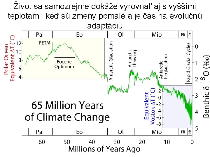 Život sa samozrejme dokáže vyrovnať aj s vyššími teplotami: keď sú zmeny pomalé a