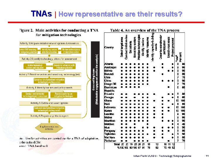 TNAs | How representative are their results? Iulian Florin VLADU - Technology Subprogramme 11