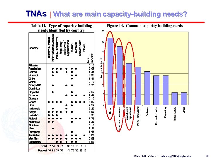 TNAs | What are main capacity-building needs? Iulian Florin VLADU - Technology Subprogramme 20