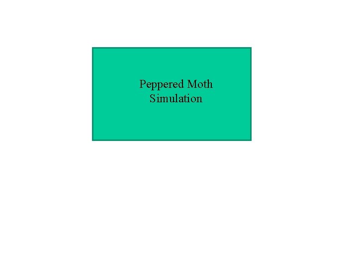 Peppered Moth Simulation 