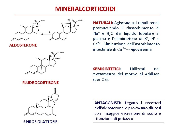 MINERALCORTICOIDI ALDOSTERONE FLUDROCORTISONE SPIRONOLATTONE NATURALI: Agiscono sui tubuli renali promuovendo il riassorbimento di Na+