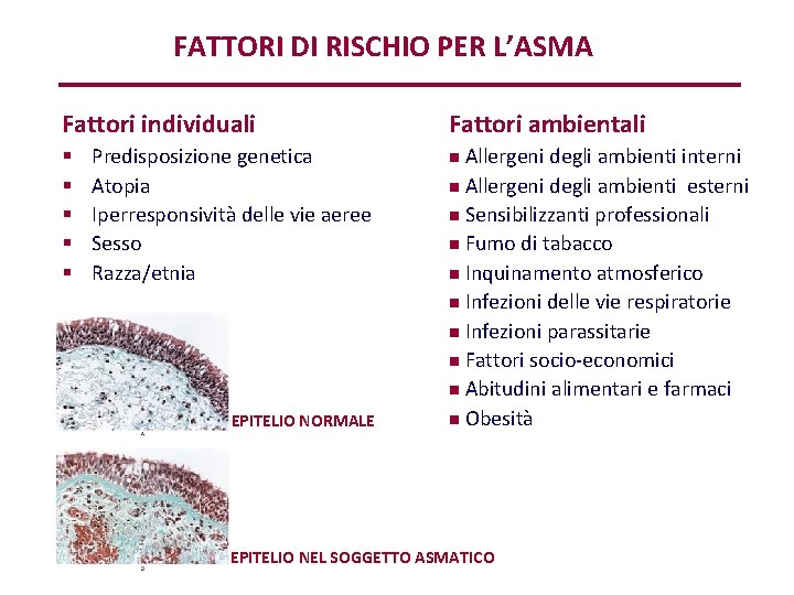 FATTORI DI RISCHIO PER L’ASMA Fattori individuali § § § Predisposizione genetica Atopia Iperresponsività