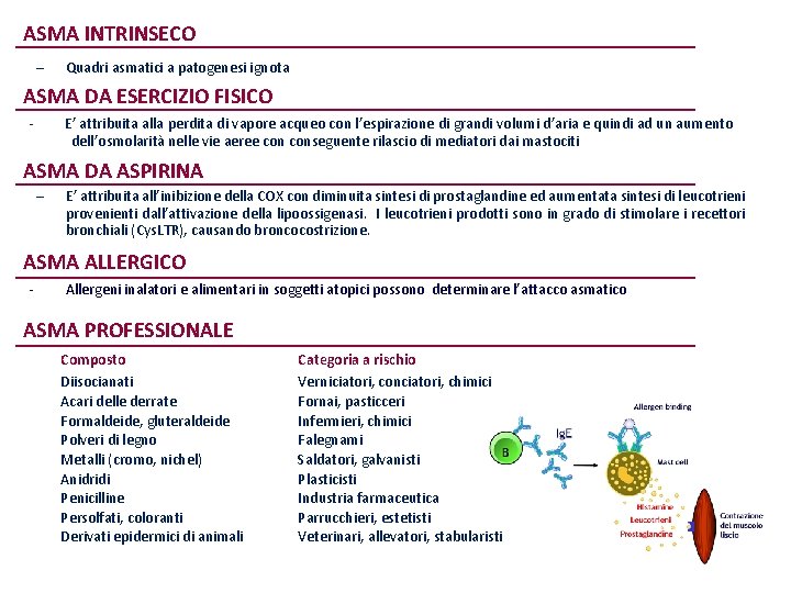 ASMA INTRINSECO – Quadri asmatici a patogenesi ignota ASMA DA ESERCIZIO FISICO - E’