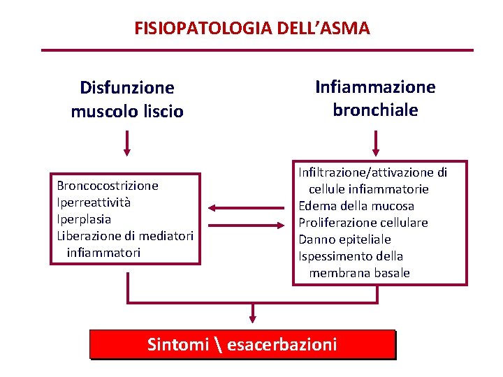 FISIOPATOLOGIA DELL’ASMA Disfunzione muscolo liscio Infiammazione bronchiale Broncocostrizione Iperreattività Iperplasia Liberazione di mediatori infiammatori