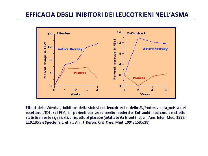 EFFICACIA DEGLI INIBITORI DEI LEUCOTRIENI NELL’ASMA Effetti dello Zileuton, inibitore della sintesi dei leucotrieni