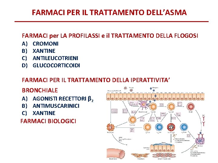 FARMACI PER IL TRATTAMENTO DELL’ASMA FARMACI per LA PROFILASSI e il TRATTAMENTO DELLA FLOGOSI