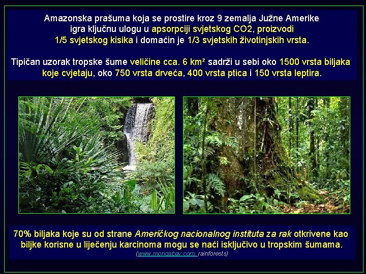 Amazonska prašuma koja se prostire kroz 9 zemalja Južne Amerike igra ključnu ulogu u