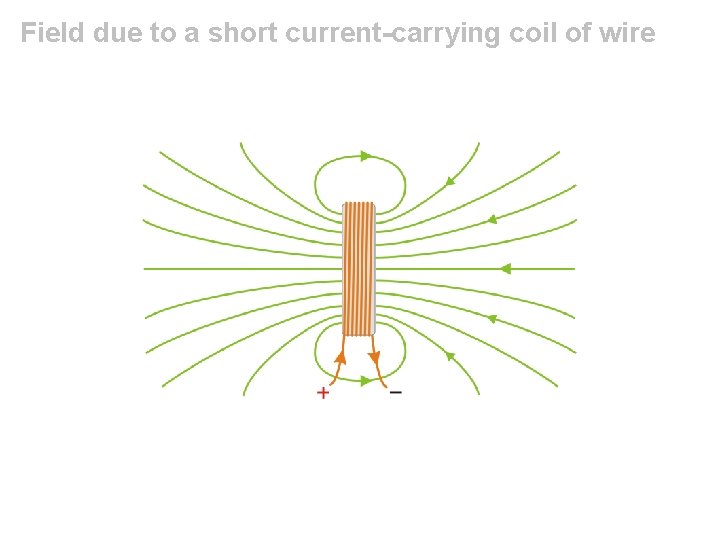 Field due to a short current-carrying coil of wire 