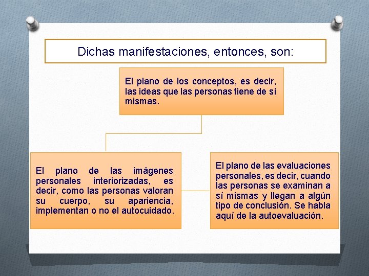 Dichas manifestaciones, entonces, son: El plano de los conceptos, es decir, las ideas que