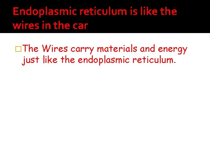 Endoplasmic reticulum is like the wires in the car �The Wires carry materials and