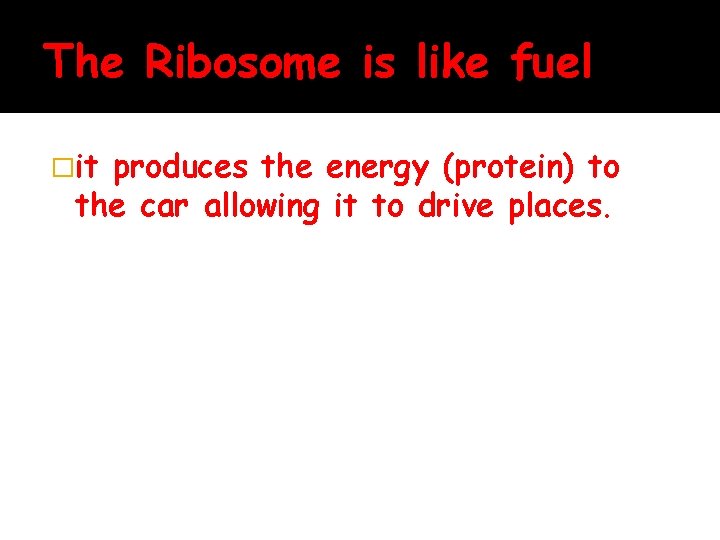 The Ribosome is like fuel �it produces the energy (protein) to the car allowing