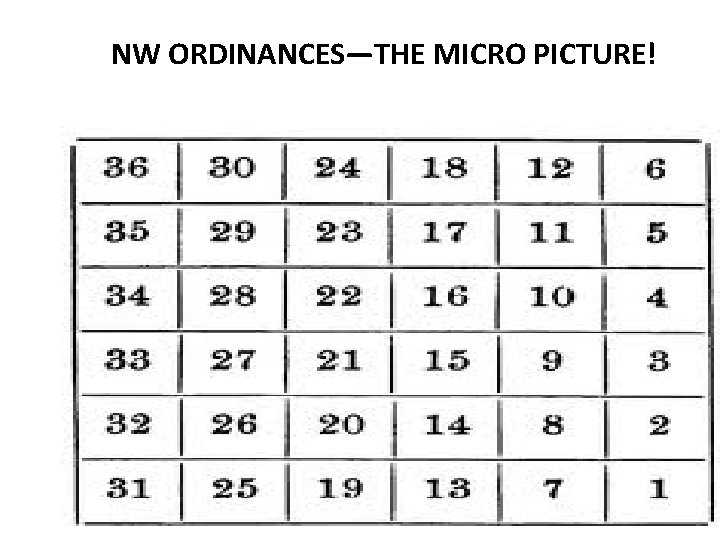 NW ORDINANCES—THE MICRO PICTURE! 