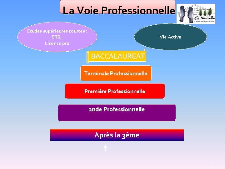 La Voie Professionnelle Etudes supérieures courtes : BTS, Licence pro Vie Active BACCALAUREAT Terminale