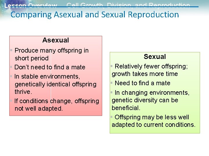 Lesson Overview Cell Growth, Division, and Reproduction Comparing Asexual and Sexual Reproduction Asexual §