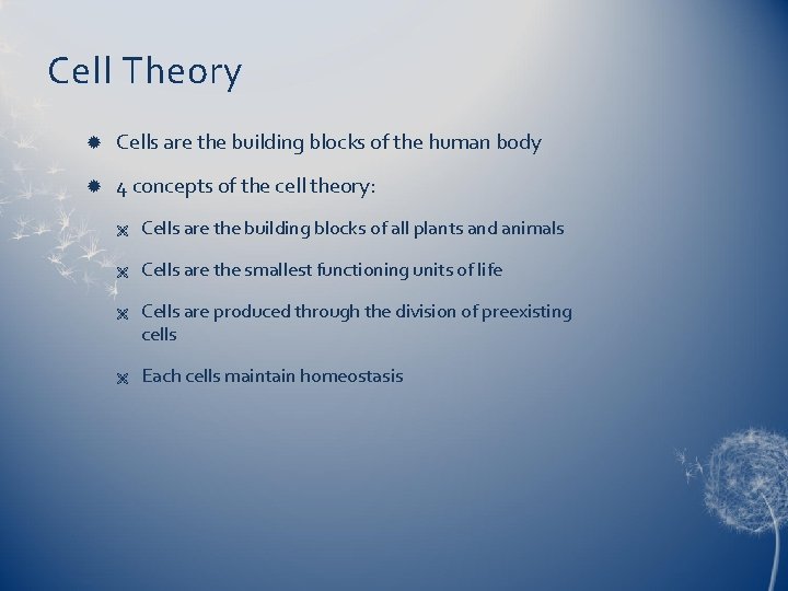 Cell Theory Cells are the building blocks of the human body 4 concepts of