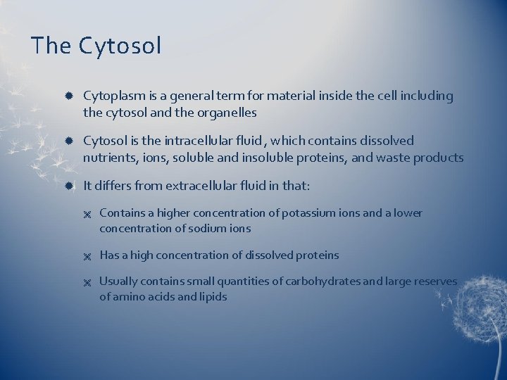 The Cytosol Cytoplasm is a general term for material inside the cell including the