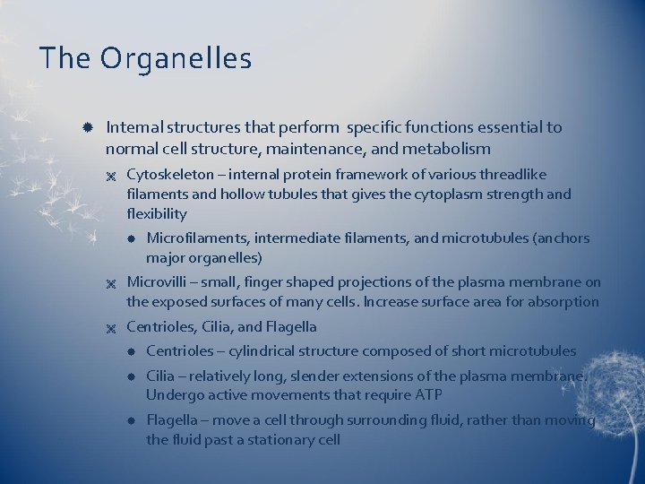 The Organelles Internal structures that perform specific functions essential to normal cell structure, maintenance,