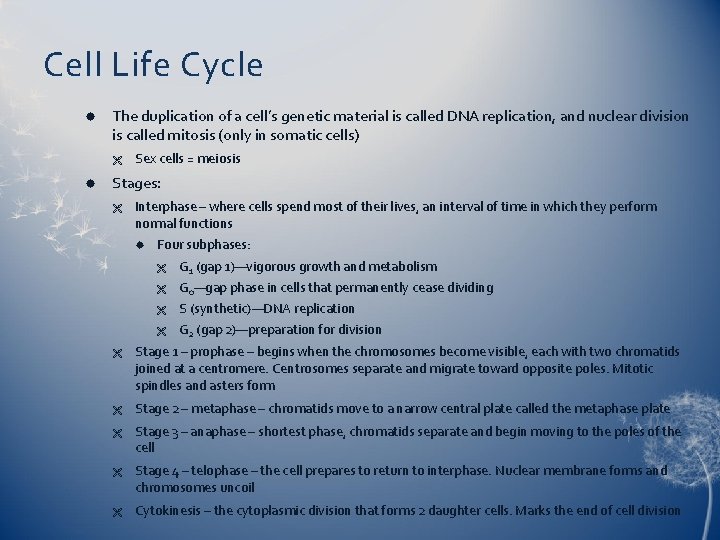 Cell Life Cycle The duplication of a cell’s genetic material is called DNA replication,