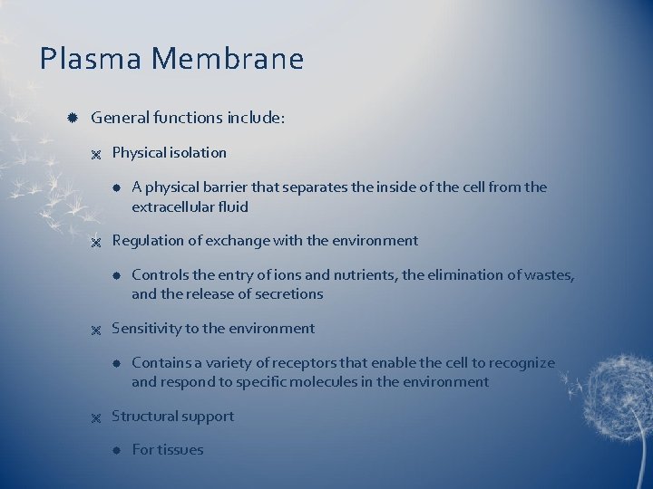 Plasma Membrane General functions include: Ë Physical isolation Ë Regulation of exchange with the