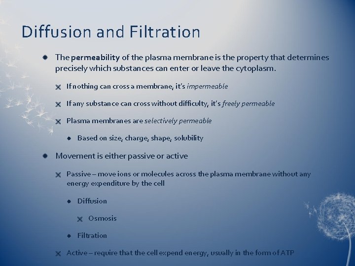 Diffusion and Filtration The permeability of the plasma membrane is the property that determines