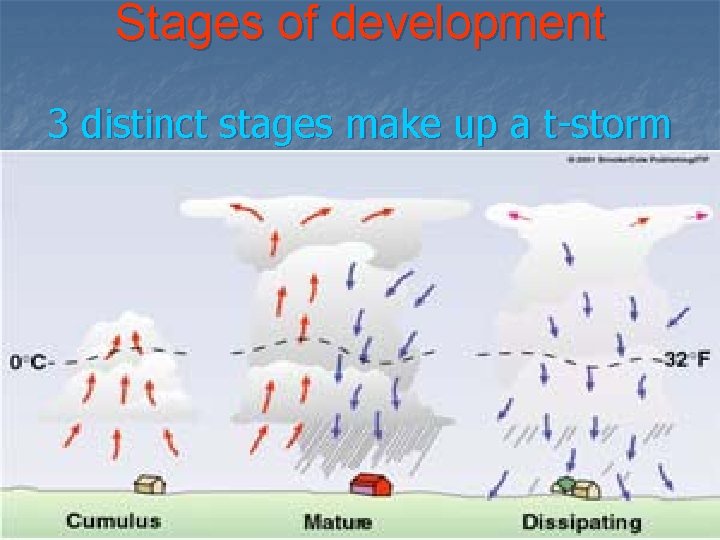 Stages of development 3 distinct stages make up a t-storm 