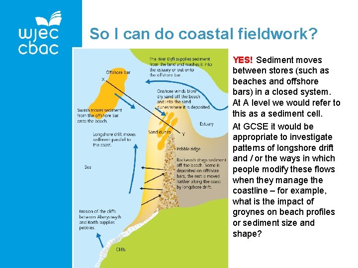 So I can do coastal fieldwork? YES! Sediment moves between stores (such as beaches