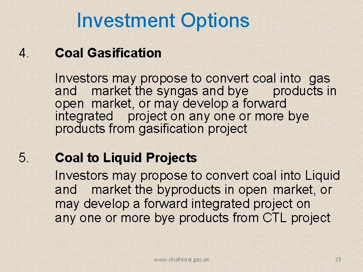 Investment Options 4. Coal Gasification Investors may propose to convert coal into gas and