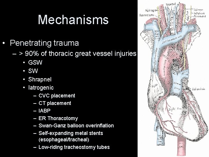 Mechanisms • Penetrating trauma – > 90% of thoracic great vessel injuries • • Mechanisms • Penetrating trauma – > 90% of thoracic great vessel injuries • •