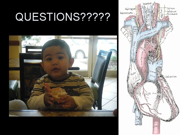 QUESTIONS? ? ? QUESTIONS? ? ?