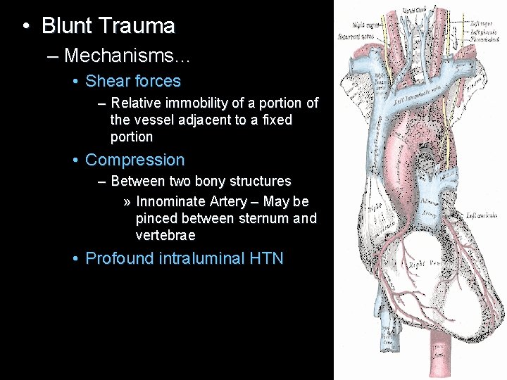 • Blunt Trauma – Mechanisms… • Shear forces – Relative immobility of a • Blunt Trauma – Mechanisms… • Shear forces – Relative immobility of a