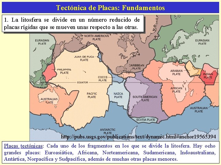 Tectónica de Placas: Fundamentos 1. La litosfera se divide en un número reducido de