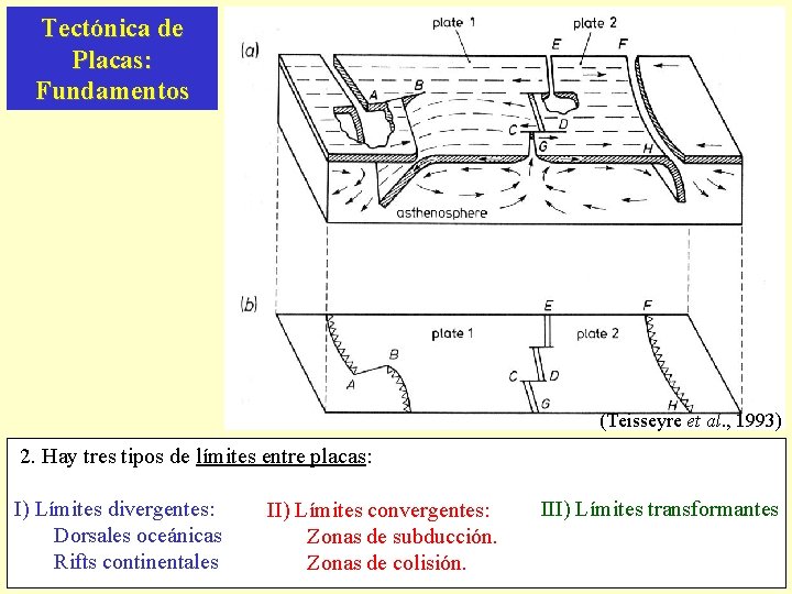 Tectónica de Placas: Fundamentos (Teisseyre et al. , 1993) 2. Hay tres tipos de