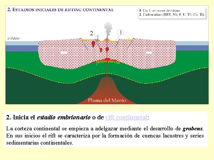 2. Inicia el estadio embrionario o de rift continental: La corteza continental se empieza