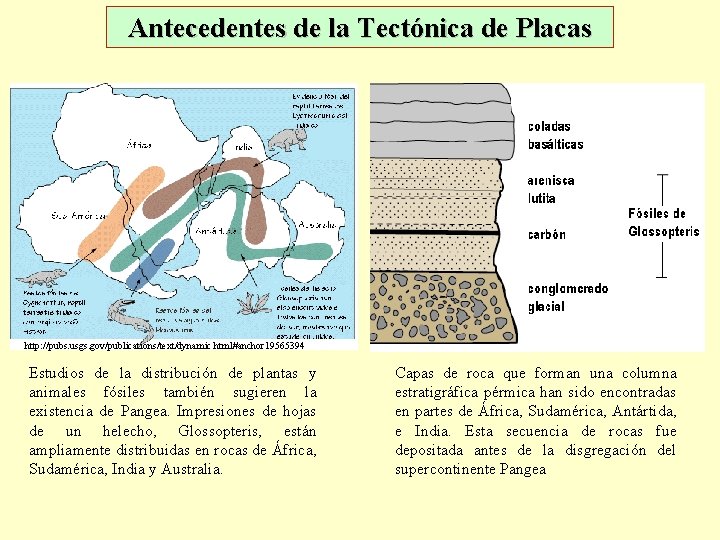 Antecedentes de la Tectónica de Placas http: //pubs. usgs. gov/publications/text/dynamic. html#anchor 19565394 Estudios de